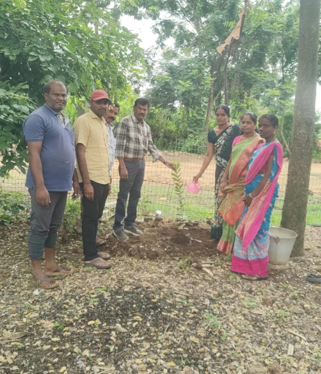 తిప్పారం పాఠశాలలో వన మహోత్సవం