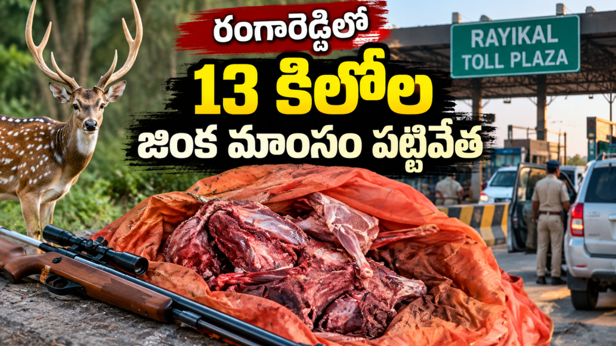 రంగారెడ్డి జిల్లాలో 13 కిలోల జింక మాంసం పట్టివేత వార్తకు సంబంధించిన ప్రతీకాత్మక చిత్రం – రాయికల్ టోల్ ప్లాజా, జింక, మాంసం, తుపాకీ
