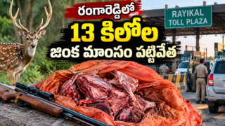 రంగారెడ్డి జిల్లాలో 13 కిలోల జింక మాంసం పట్టివేత వార్తకు సంబంధించిన ప్రతీకాత్మక చిత్రం – రాయికల్ టోల్ ప్లాజా, జింక, మాంసం, తుపాకీ