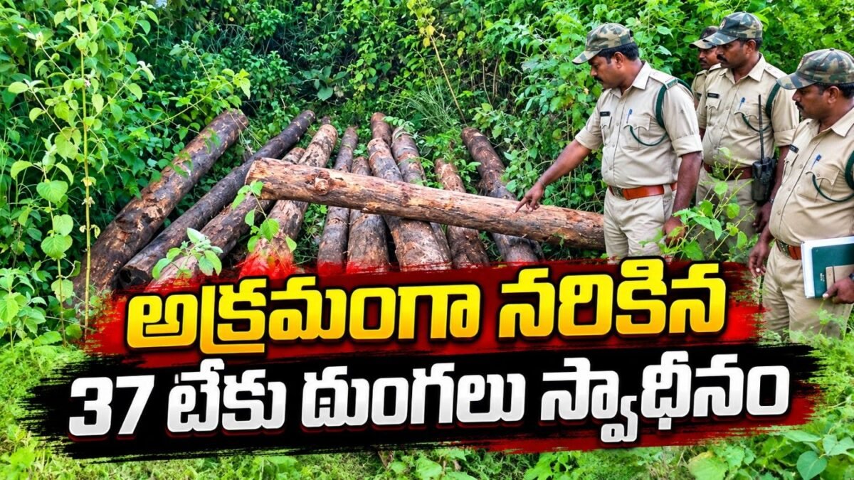 సిరికొండ అటవీ ప్రాంతంలో అక్రమంగా నరికిన 37 టేకు దుంగలను స్వాధీనం చేసుకున్న అటవీ అధికారులు