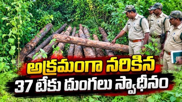 సిరికొండ అటవీ ప్రాంతంలో అక్రమంగా నరికిన 37 టేకు దుంగలను స్వాధీనం చేసుకున్న అటవీ అధికారులు